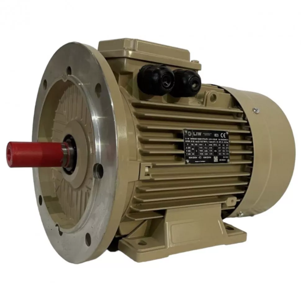 Электродвигатель LEDERMANN L3E A 200LB2 37 кВт 3000 об/мин B3
