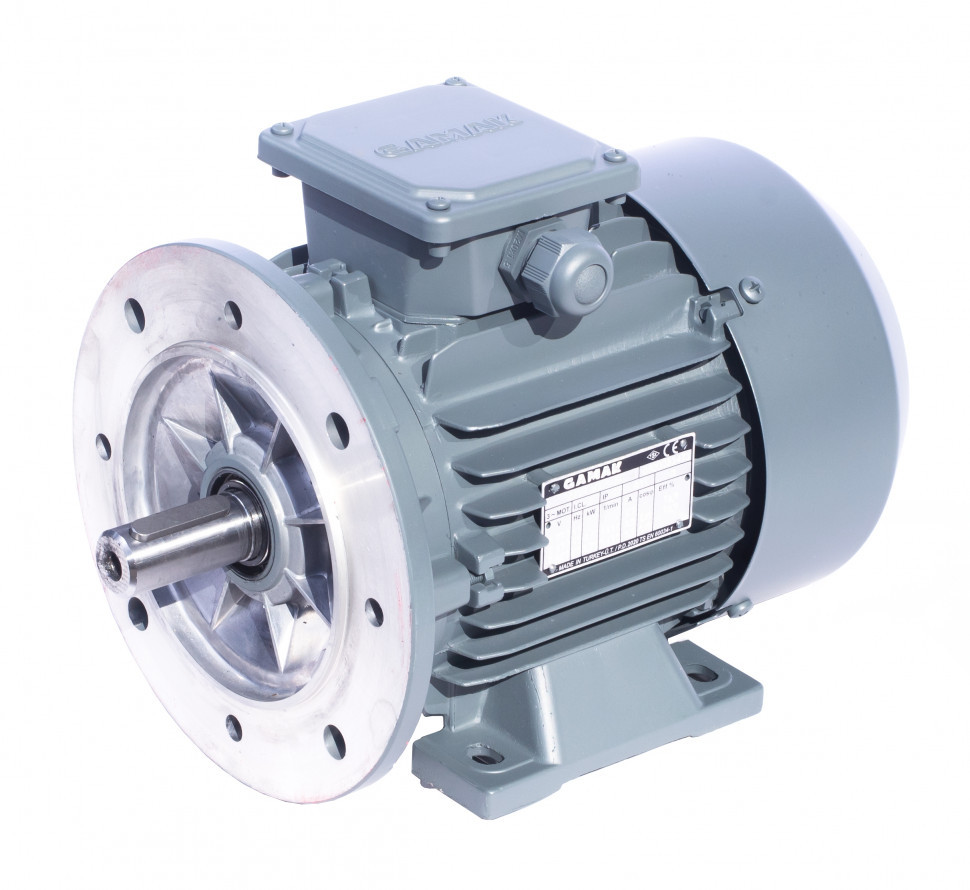 Электродвигатель GAMAK AGМ2EL 132S6 3 кВт 1000 об/мин 2081