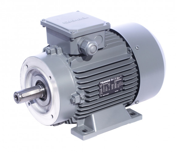Электродвигатель  GAMAK GMM 400 L 4a 450 кВт 1500 об/мин