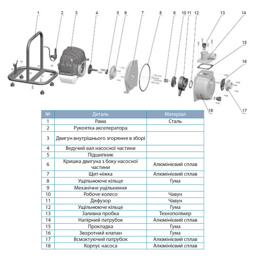 Мотопомпа LEO LGP10