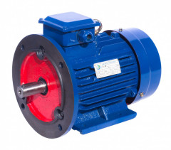 Электродвигатель АИР 80 А8 (АИР80А8) 0,37 кВт 750 об/мин 2081