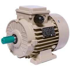 Электродвигатель LEDERMANN L3E A 100LB4 3 кВт 1500 об/мин B3