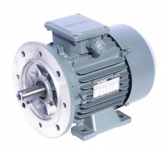 Електродвигун GAMAK AGM 80 8b 0.25 кВт 750 об/хв 2081